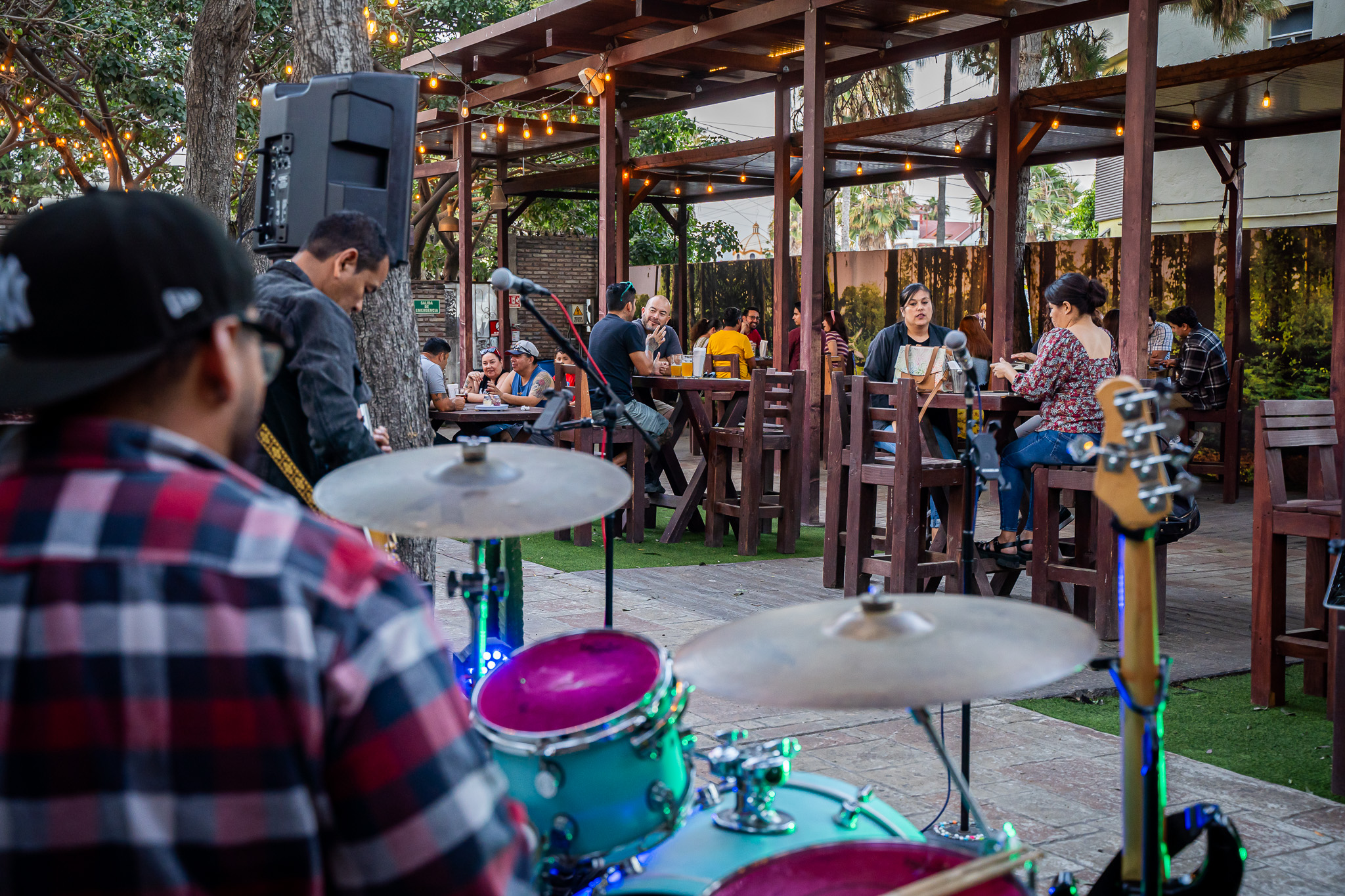 Música en vivo en el bosque